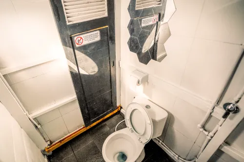 kanhanatha-sharingtoilet-2