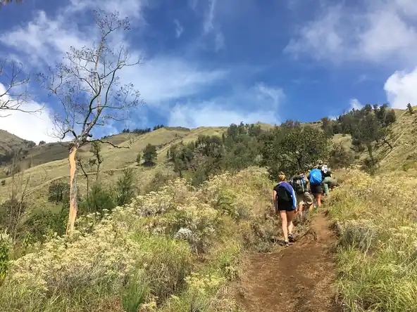 P6737VTmarcot_review_webp_004