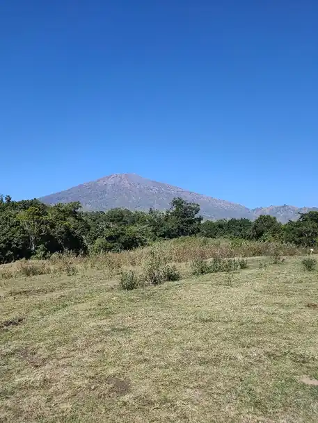 Cindy_review_webp_001