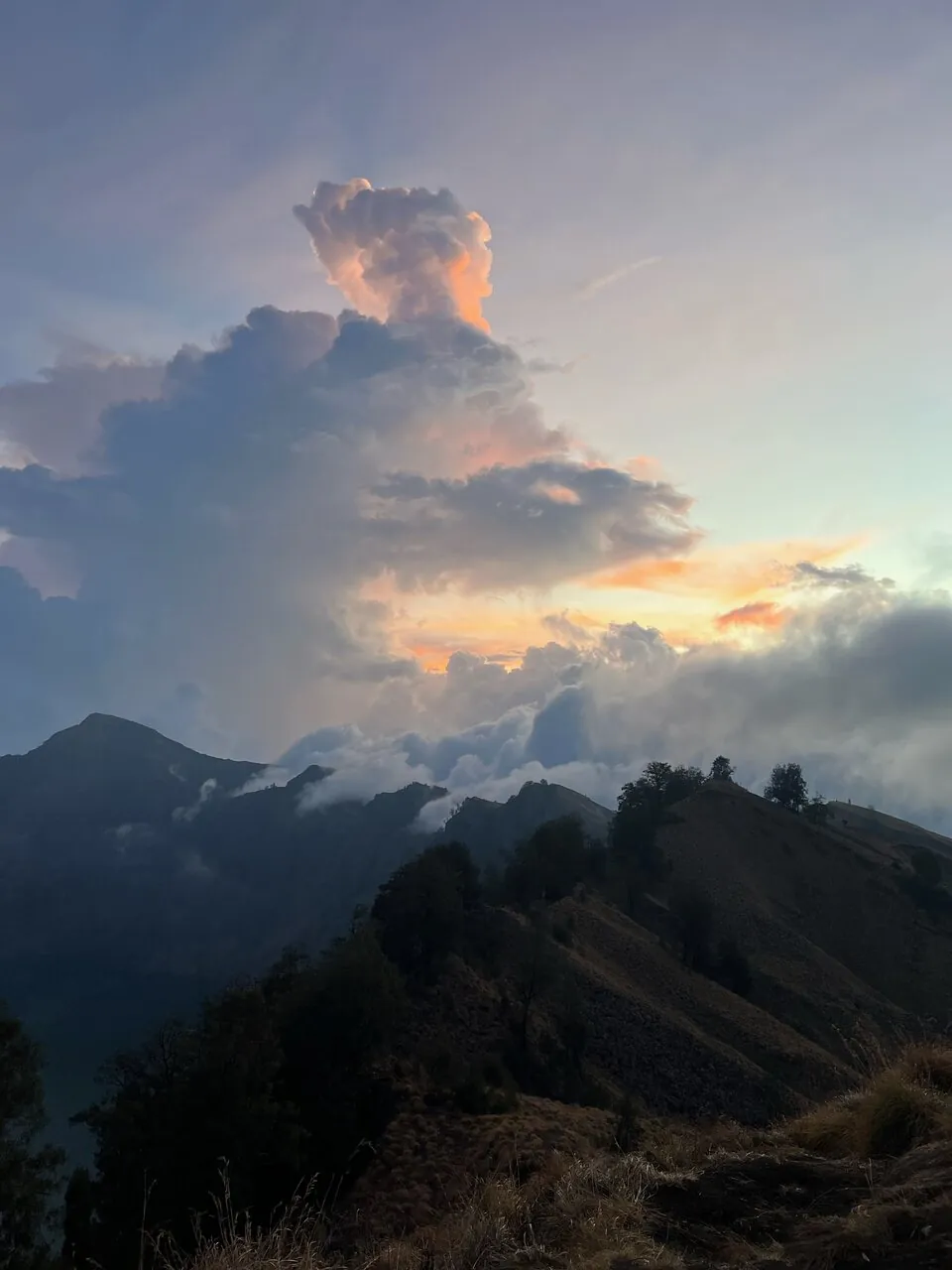 Kathryn R_review_webp_002