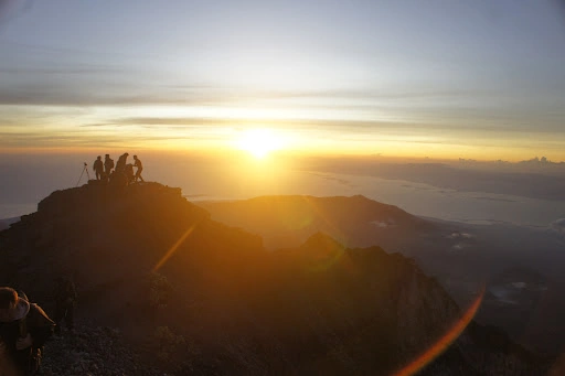 Robert Greene_review_webp_001