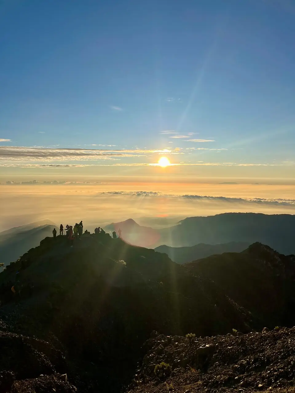 Julie L_review_webp_002