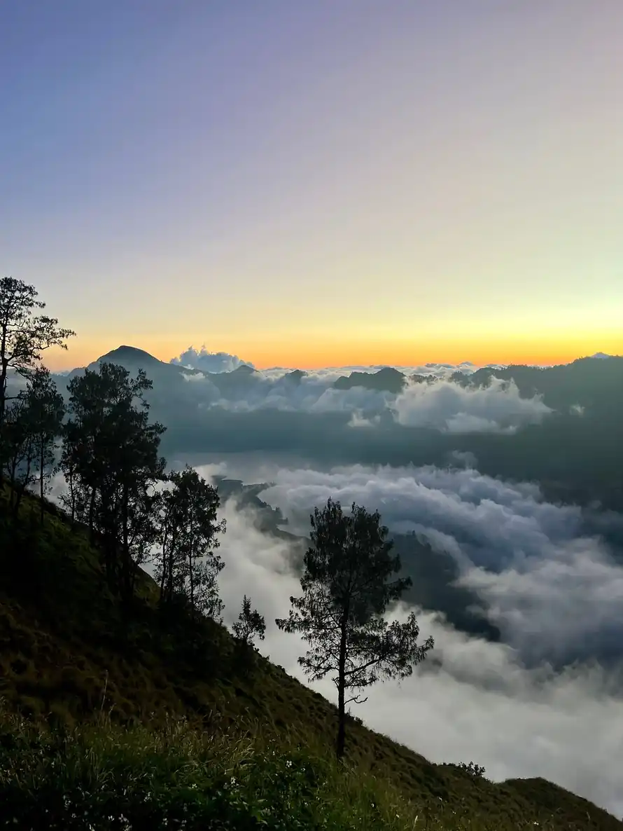 Julie L_review_webp_004