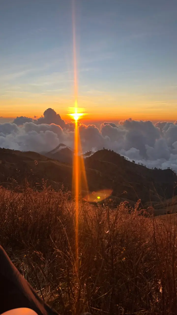 Alison G_review_webp_001