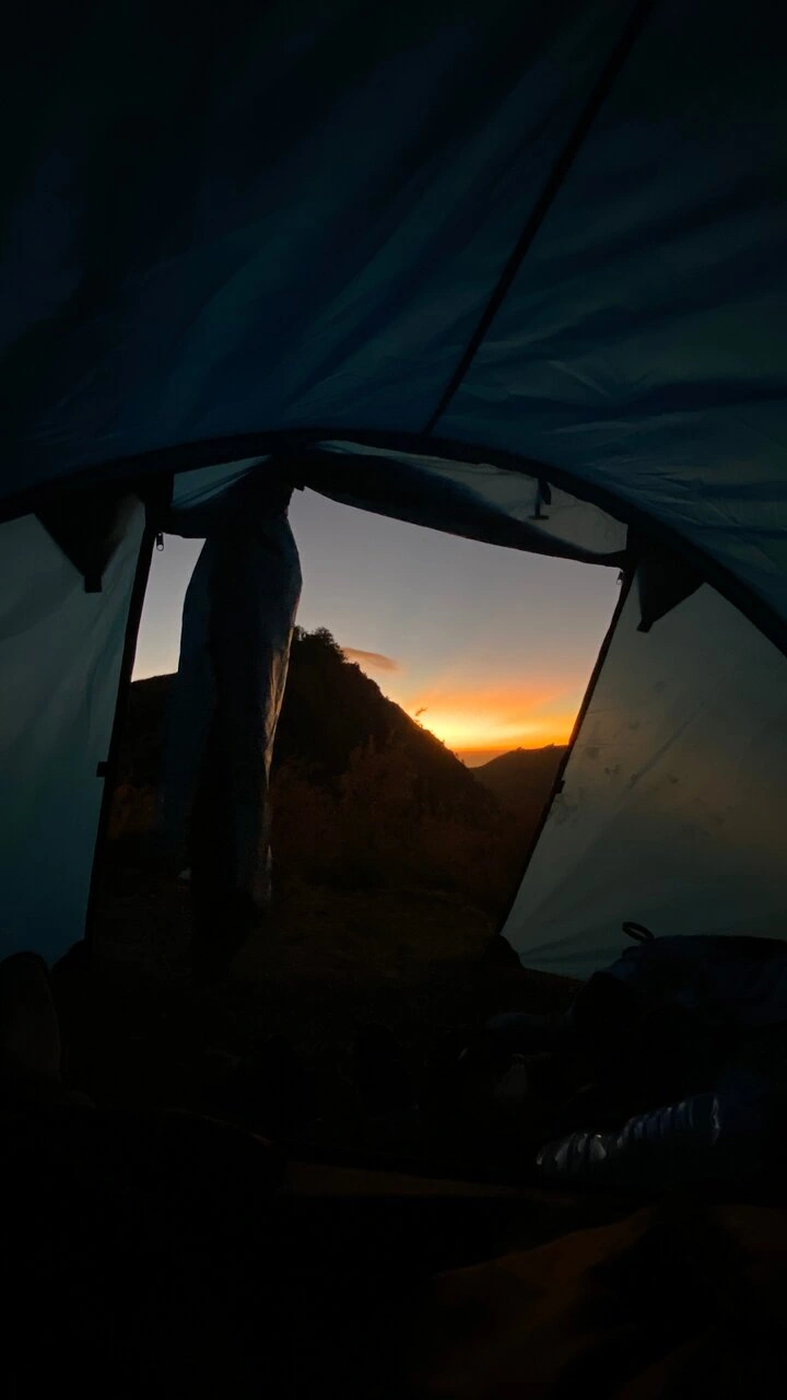 Alison G_review_webp_003