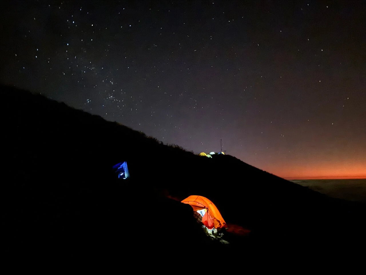 Carla Ø_review_webp_002