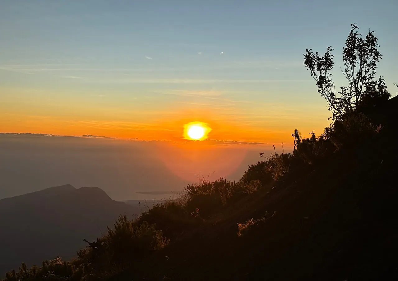 Celian J_review_webp_004