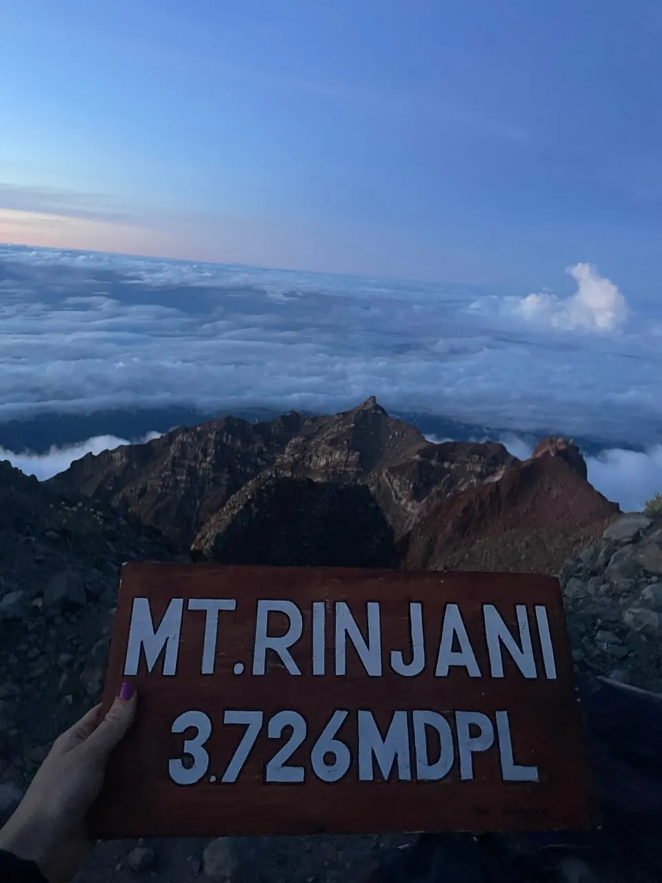 Emilie S_review_webp_003