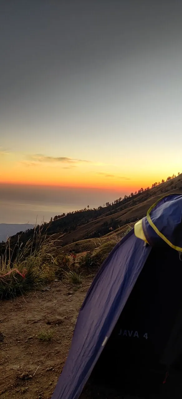 NancyDeceuninck_review_webp_001