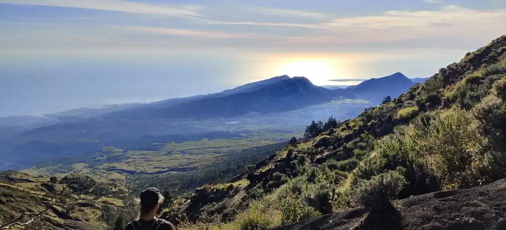 NancyDeceuninck_review_webp_002