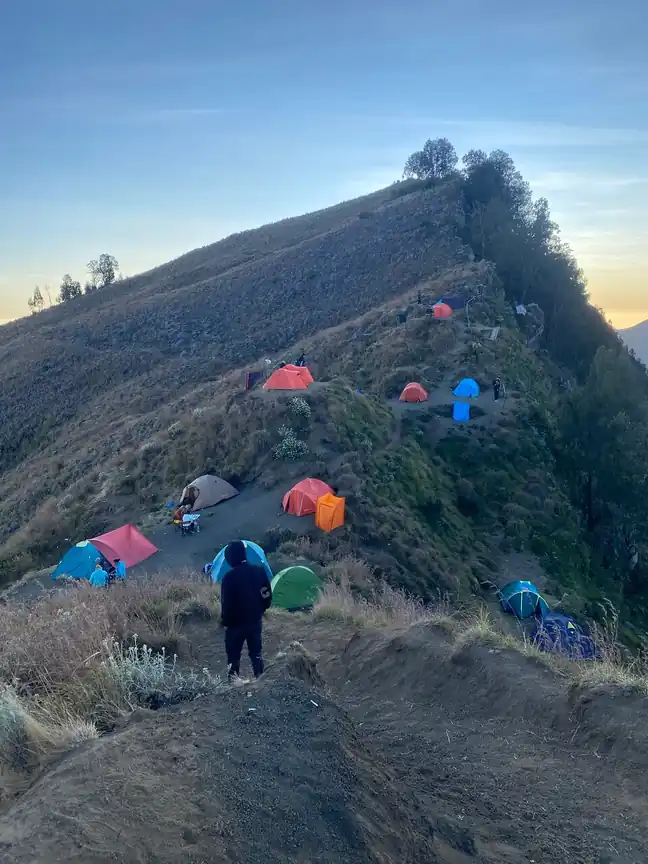 Aljosha B_review_webp_002