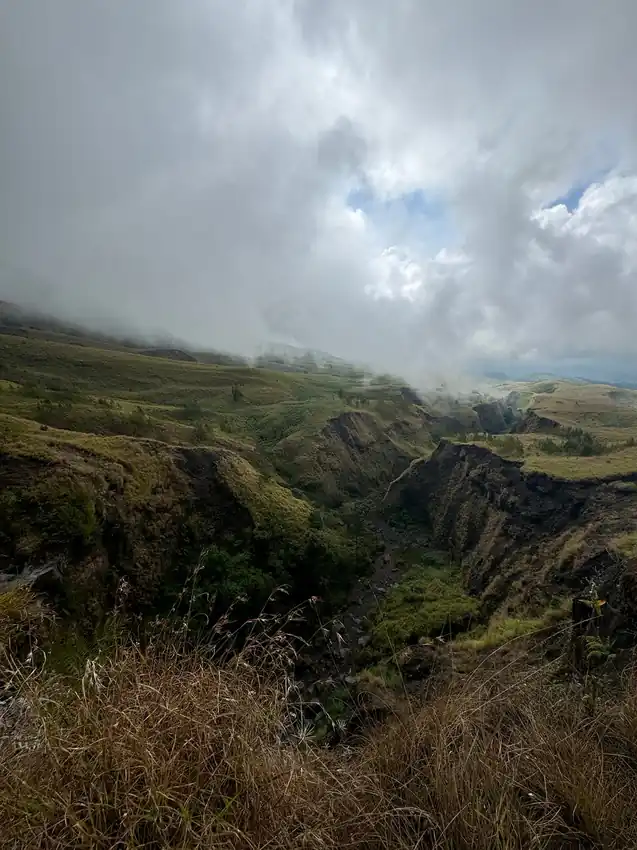 BeatriceG1084_review_webp_002