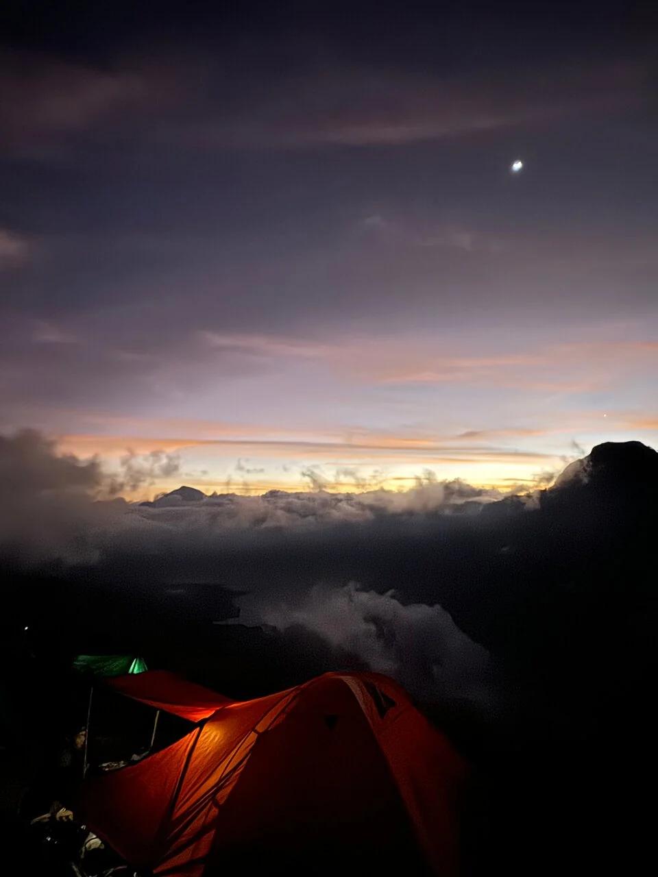 BeatriceG1084_review_webp_003