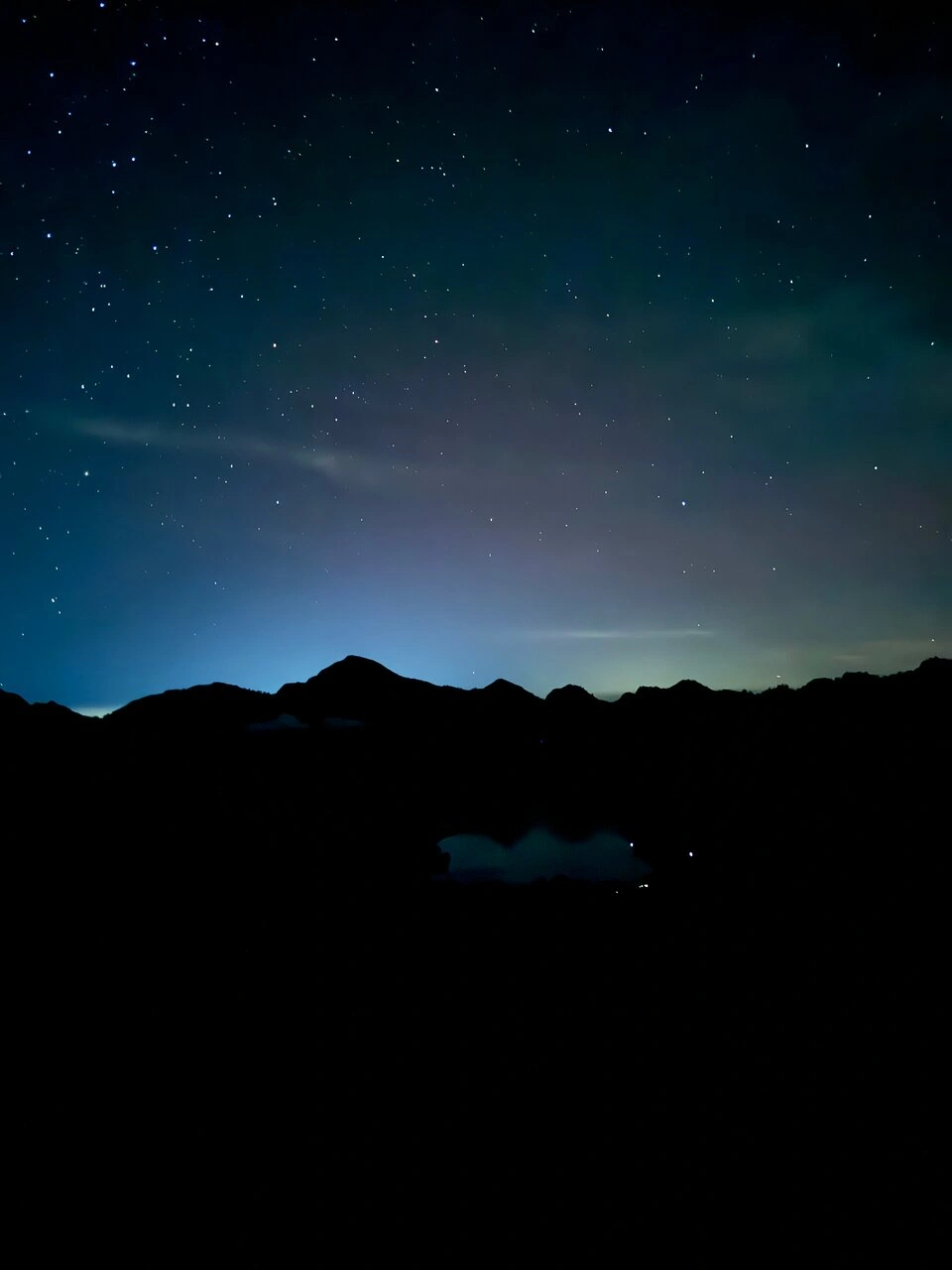 BeatriceG1084_review_webp_004