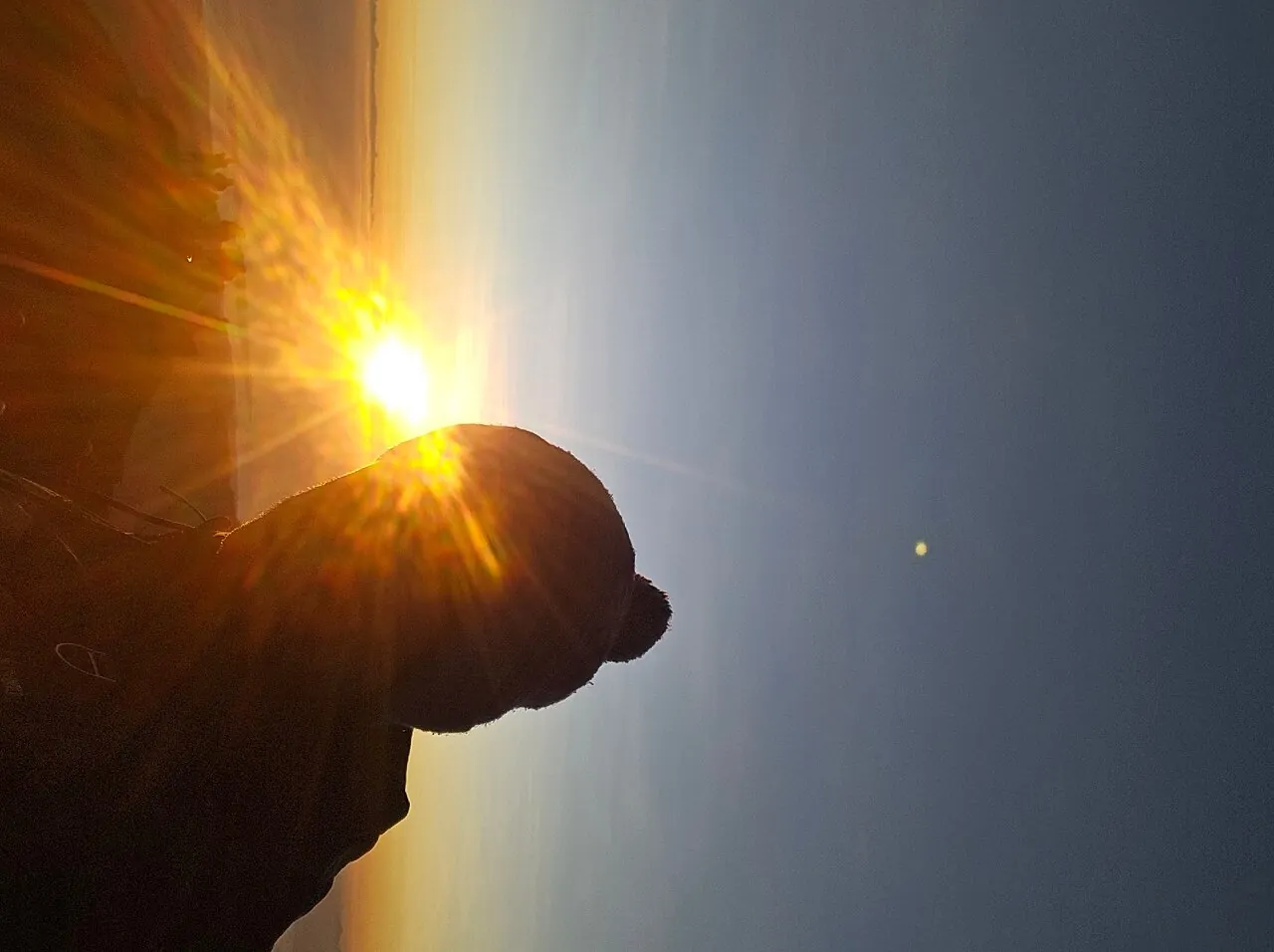 Gary D_review_webp_001