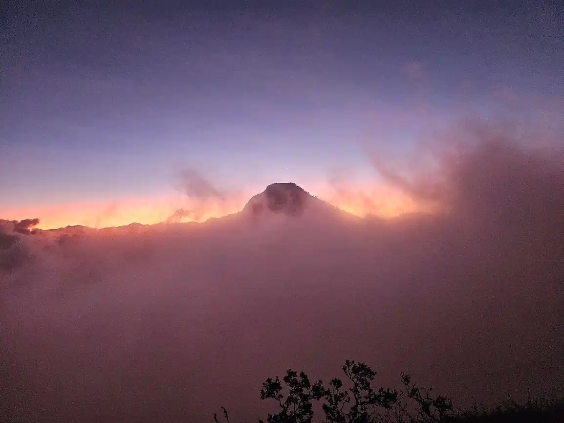 Gary D_review_webp_002