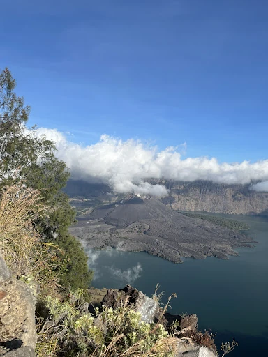 Shan Ratcliffe_review_webp_001