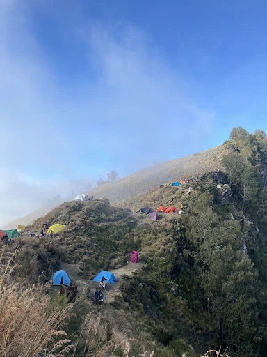 Shan Ratcliffe_review_webp_002