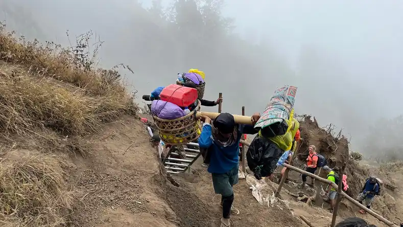 oldav2014_review_webp_002