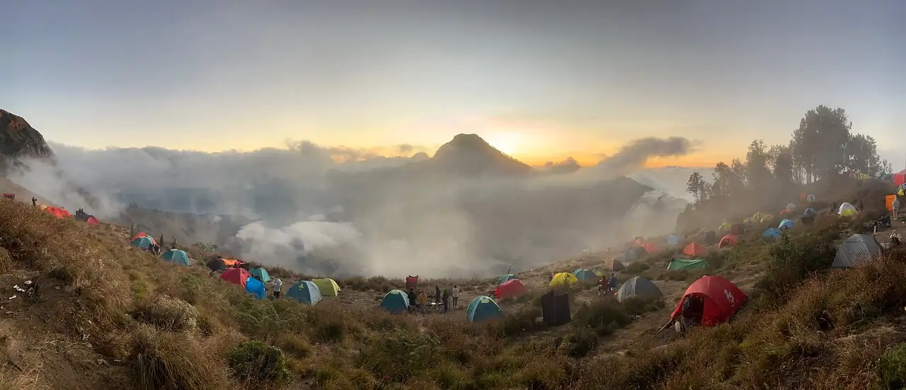 oldav2014_review_webp_003