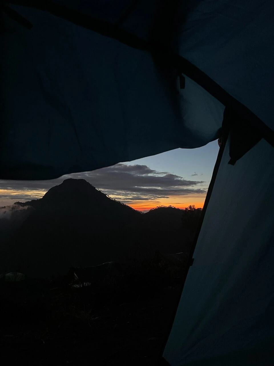 Amalie V_review_webp_001