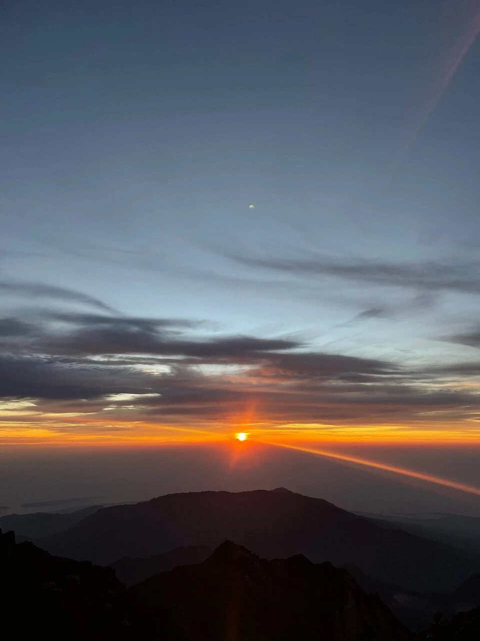 Amalie V_review_webp_002