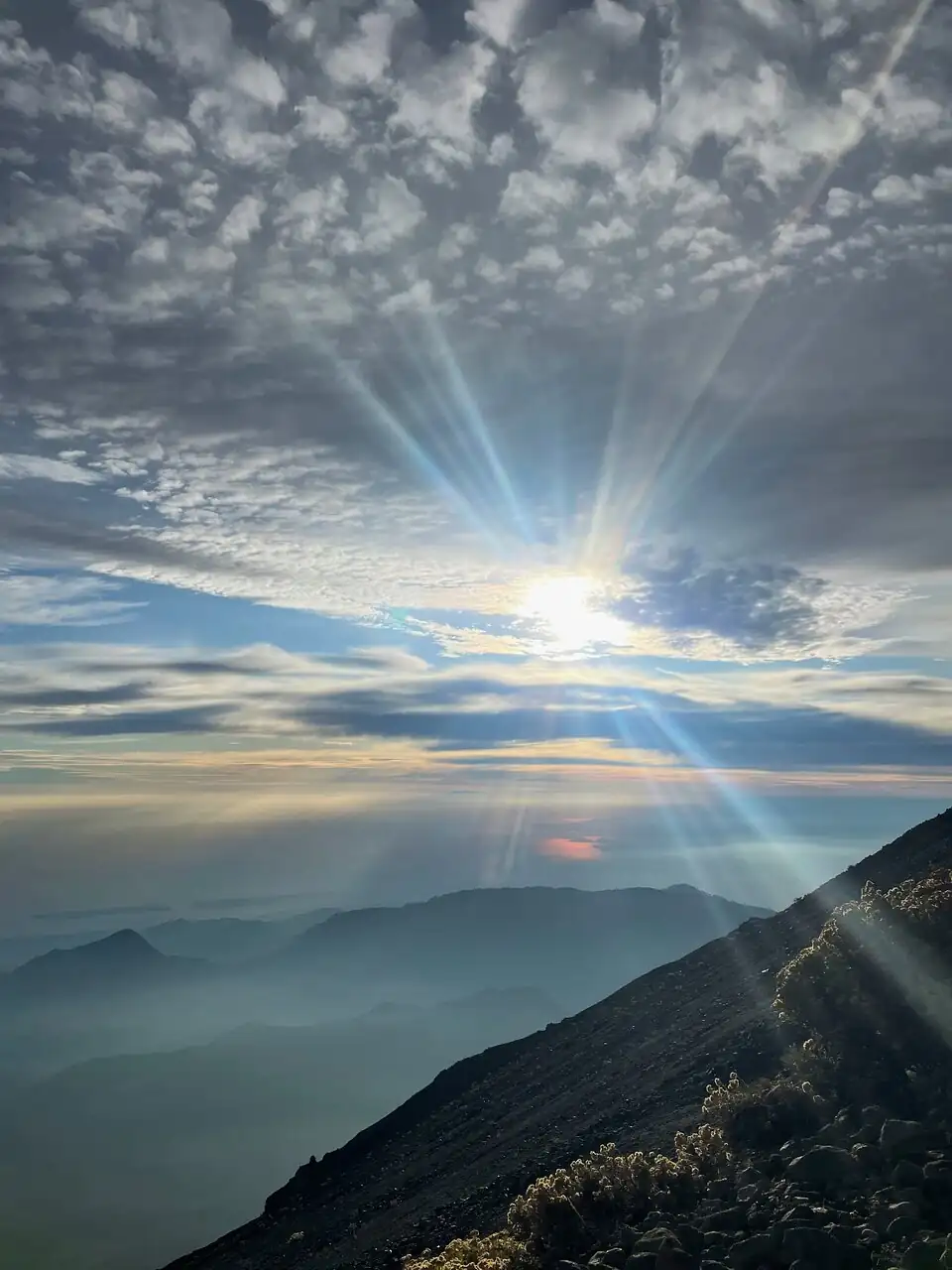 Amalie V_review_webp_003