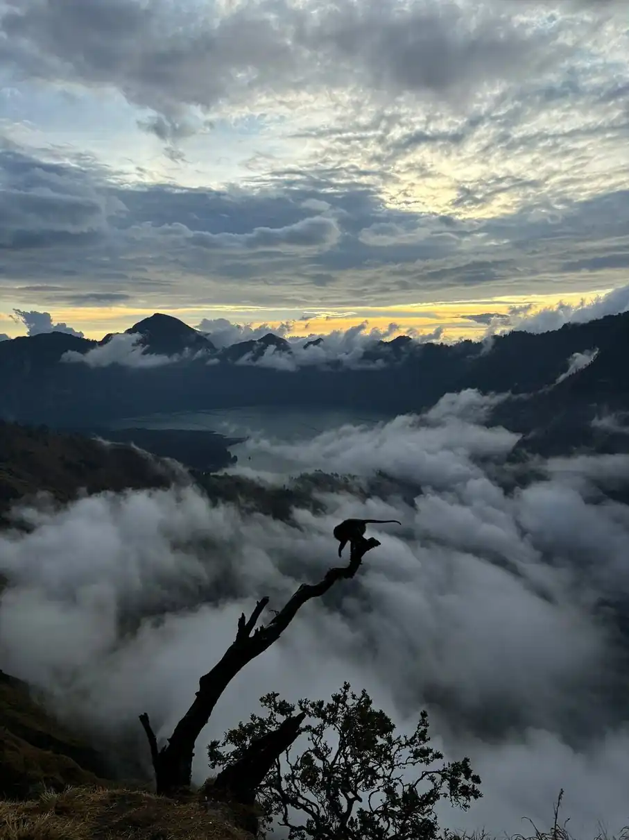 Coline Galusik_review_webp_004