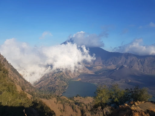 Emmanuel Simon_review_webp_001