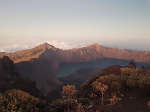 Emmanuel Simon_review_webp_002