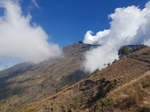 Emmanuel Simon_review_webp_004