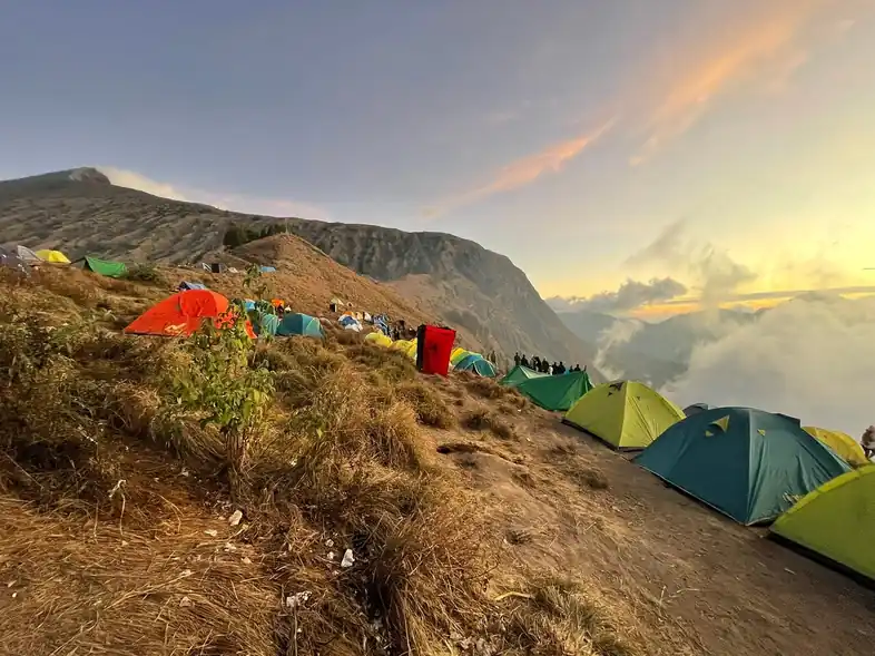 Matt_review_webp_001