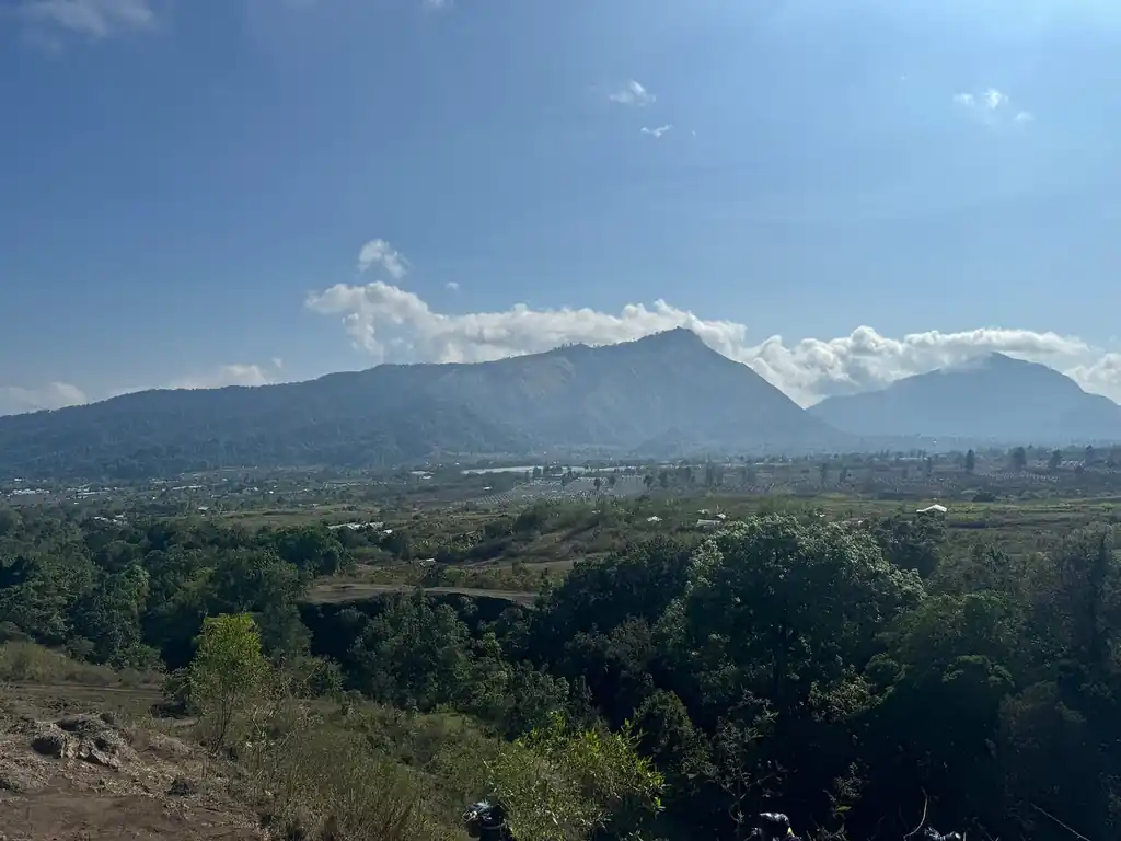 Nancy E_review_webp_001