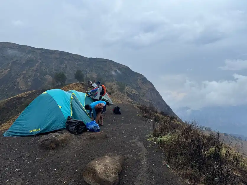 Nancy E_review_webp_002