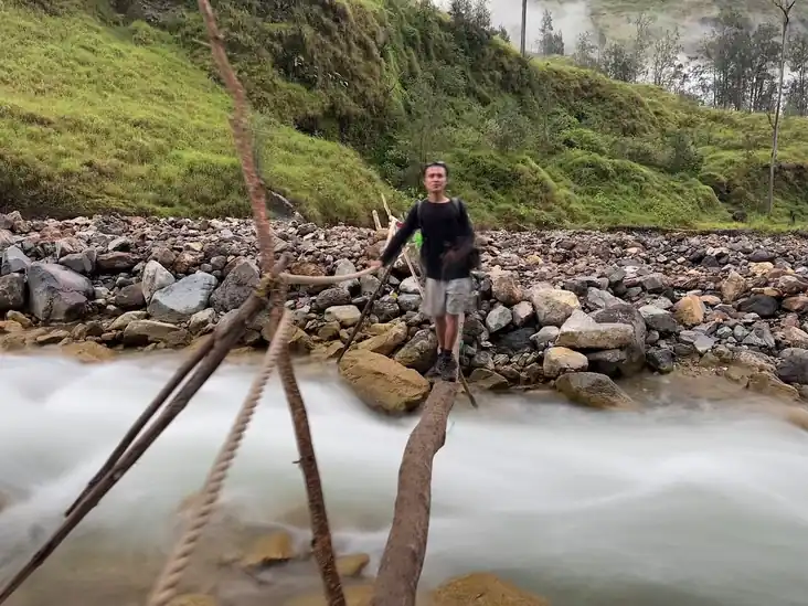 Biscuit B_review_webp_001