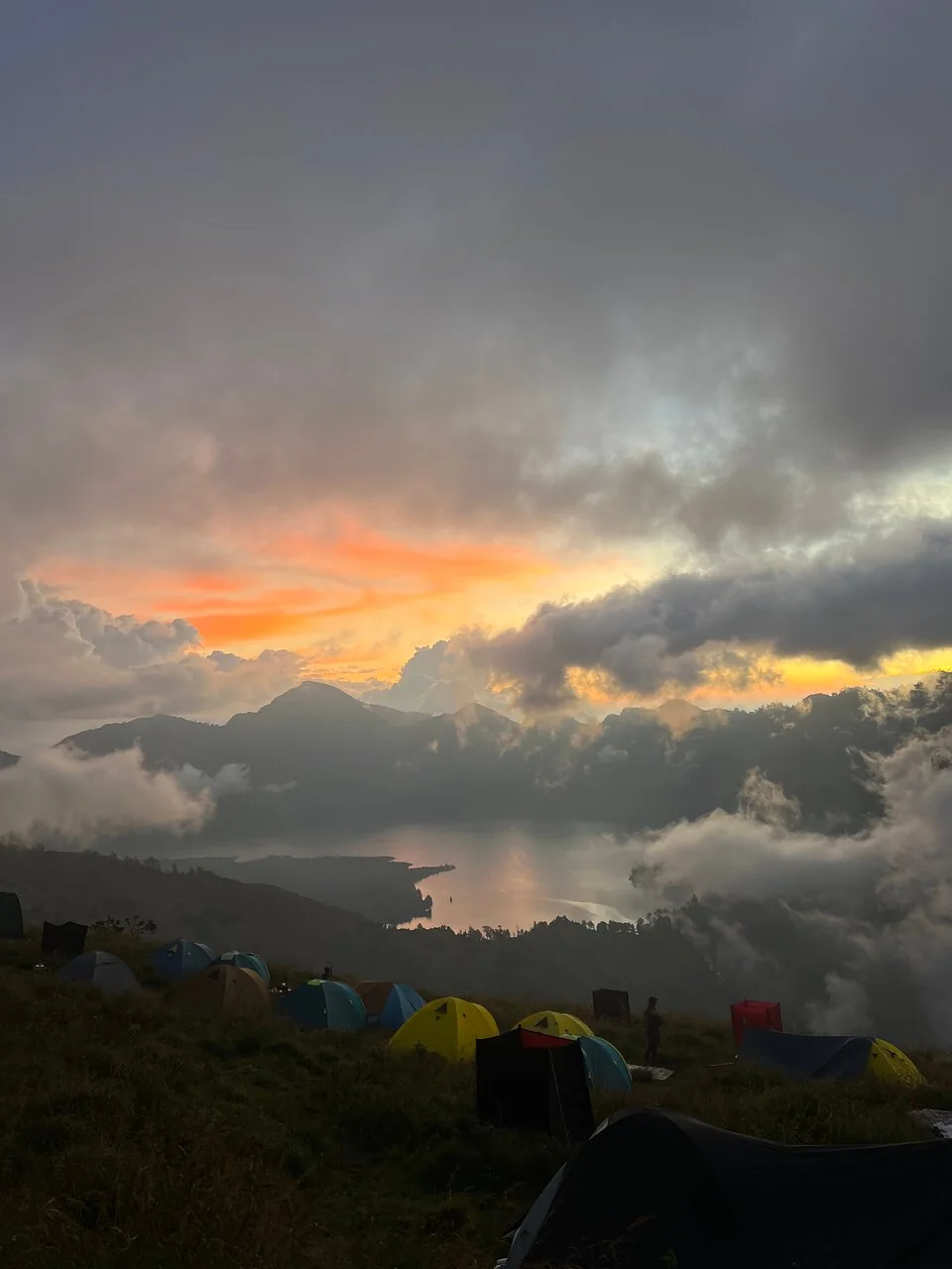 mandajhall_review_webp_002