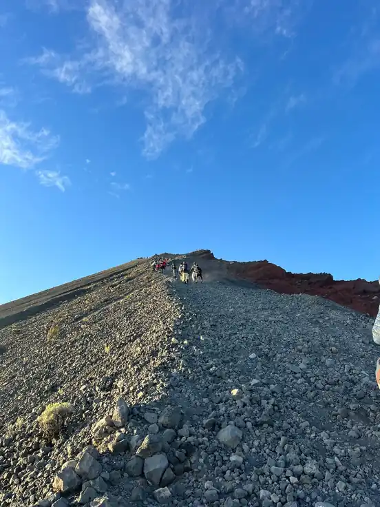 mandajhall_review_webp_003