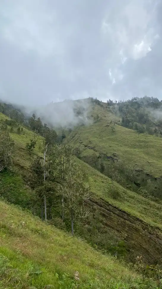 Cintia Vanessza T_review_webp_002