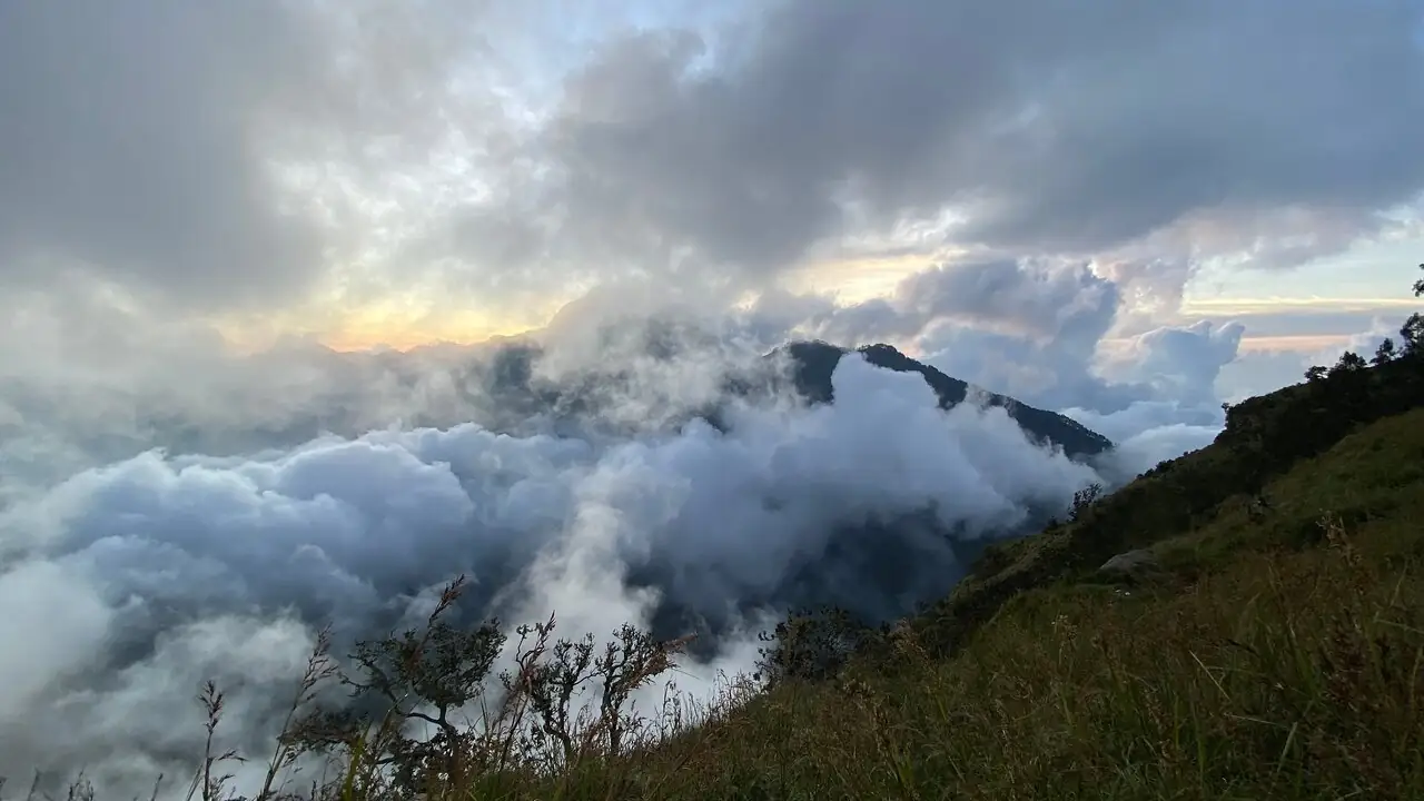 Cintia Vanessza T_review_webp_003