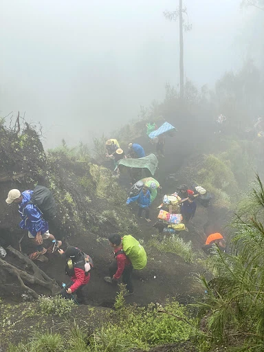 Paul Watson_review_webp_003