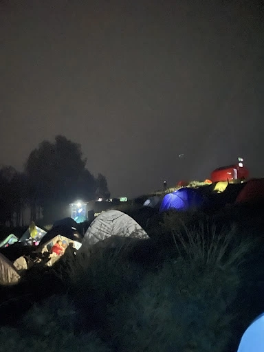 Paul Watson_review_webp_005