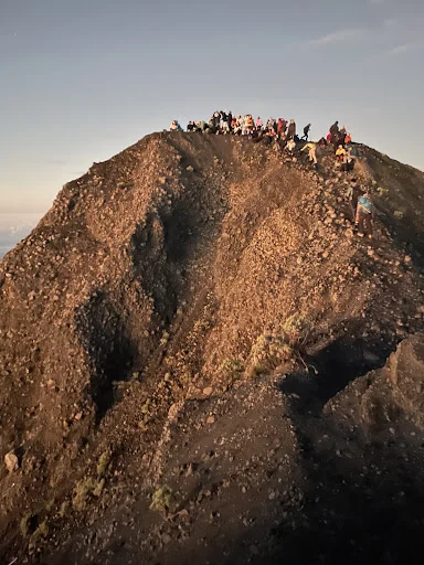 Paul Watson_review_webp_006