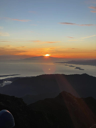 Paul Watson_review_webp_011